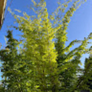 Meet your Posher, Georgina